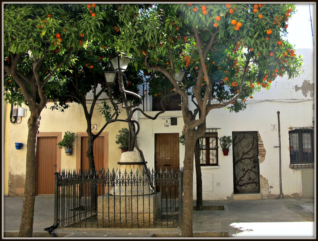 Plaça de Sant Joan, a Tarragona / ©Ivan Rodon