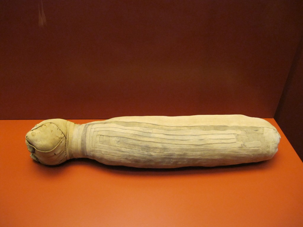 Mòmia d'un gat / ©Gemma Casalé