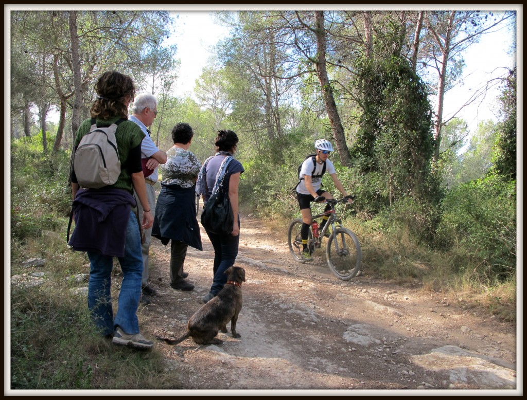Ciclistes i excursionistes / ©Ivan Rodon