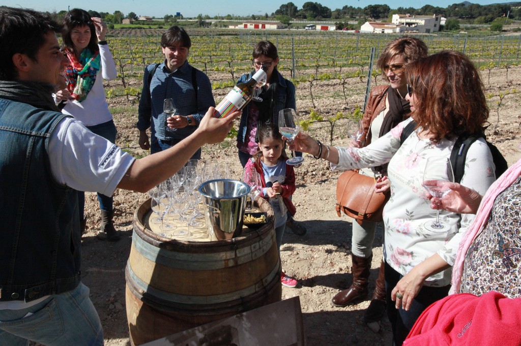 Tast de vins a peu de les vinyes de Mas Vicenç. / ©Pere Toda-Vilaniu Comunicació