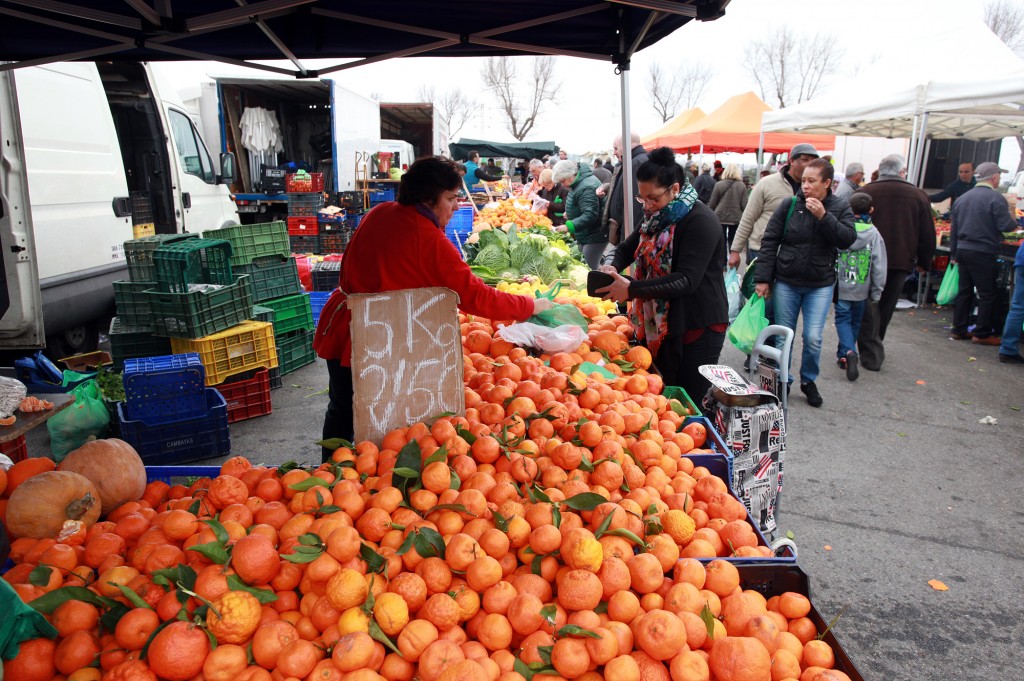 Fruits Stand with Oranges